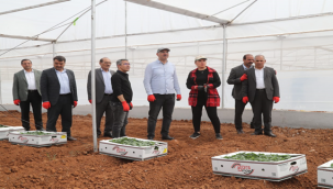 Başkan Kuş, " Sera Kentimizde Fideleri Toprakla Buluşturduk" 