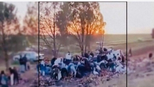 Ceylanpınar'da insanlık öldü dedirten olay!