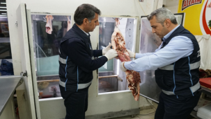 Haliliye Zabıtası Kilolarca Kokmuş Et Ele Geçirdi 