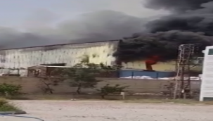 Şanlıurfa'da fabrika yangını