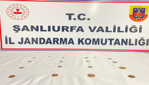 Şanlıurfa'da jandarma tarihi eser kaçakçılarını alıcı kılığına girerek yakaladı