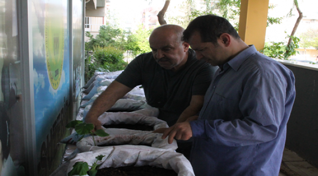 Şanlıurfa'da kurdukları bahçe ile sebze yetiştiriyorlar