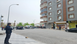 Şanlıurfa'da silahlı kavga