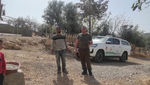 Şanlıurfa'da yaralı halde bulundu