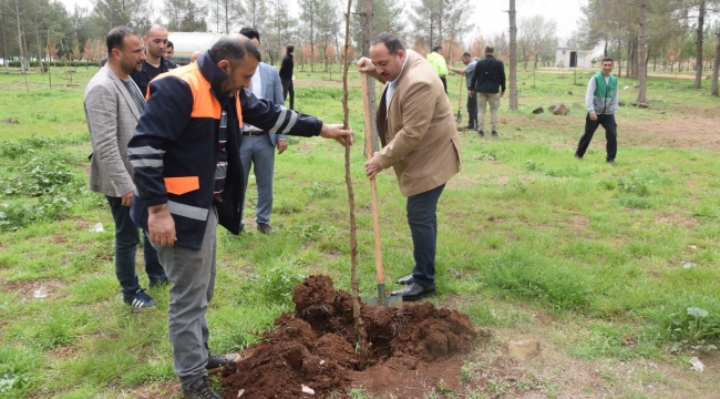 SULUTEPE GÖLETİNDE AĞAÇLANDIRMA ÇALIŞMASI 