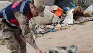 Suruç Jandarmadan örnek davranış 