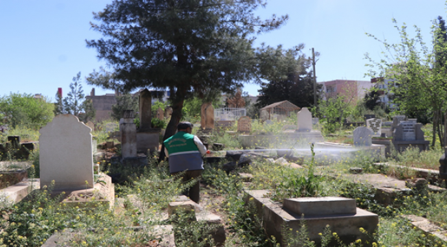 Viranşehir’deki mezarlıklarda bayram hazırlığı başladı