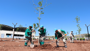 Başkan Canpolat İle Projeler Bir Bir Tamamlanıyor 