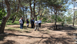 Bungalov Evler Bozova'ya Çok Yakışacak