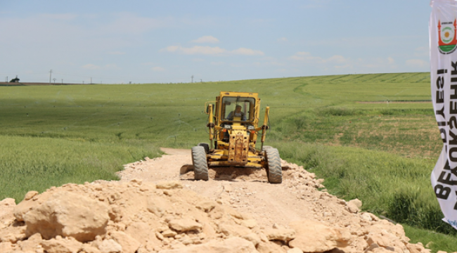 Büyükşehir'den Ceylanpınar'da Yeni Yol Çalışması
