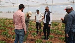 Eyyübiye Seraları Açılışa Gün Sayıyor