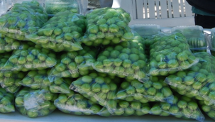 Halfeti tezgahlarında yerini aldı