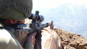 Milli Savunma Bakanlığı duyurdu! Etkisiz hale getirildiler