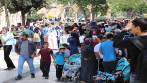 Şanlıurfa'da 5 ailenin acı günü!