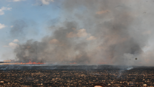 Şanlıurfa'da anız yakanlarla ilgili ceza işlem uygulanacak