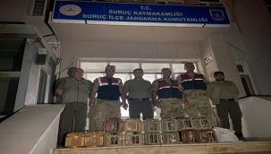 Şanlıurfa'da bir evde tam 14 kınalı keklik ele geçirildi