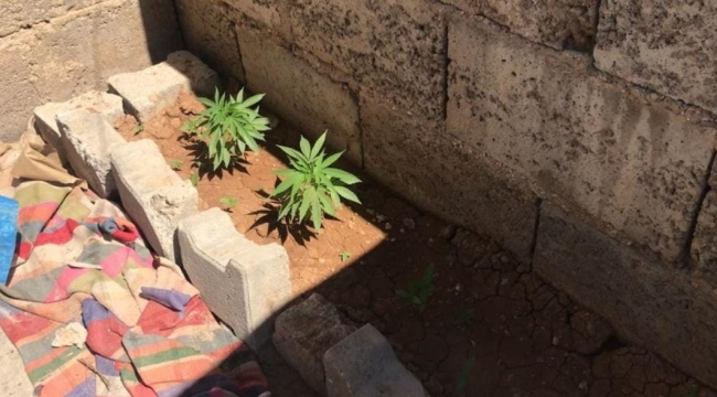 Şanlıurfa'da evin çatısında uyuşturucu ele geçirildi 