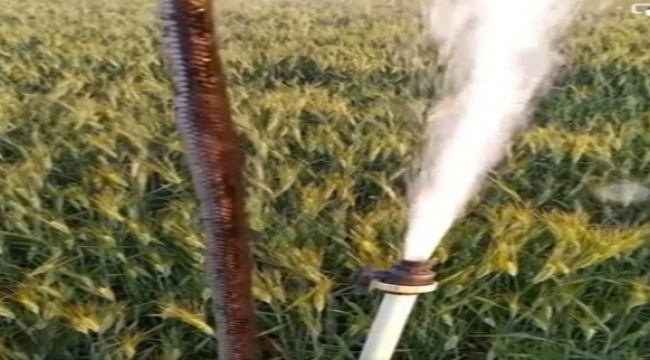 Şanlıurfa'da fıskiyeden yılan çıktı