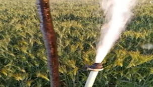 Şanlıurfa'da fıskiyeden yılan çıktı