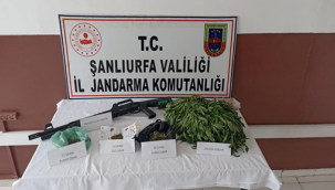 Şanlıurfa'da JASAT'tan başarılı operasyon