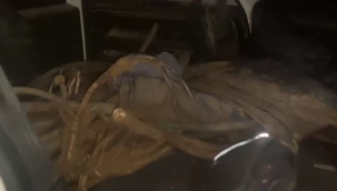 Şanlıurfa'da Kablo hırsızları yakalandı