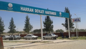 Şanlıurfa'da küçük çocuk su birikintisine düştü