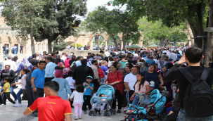 Urfa'da 3 vatandaş hayatını kaybetti