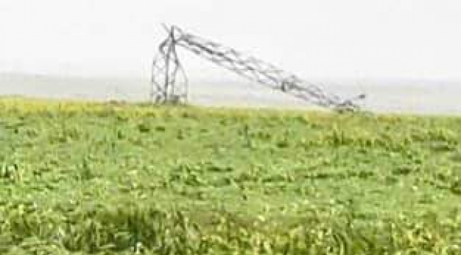 Urfa"da fırtına ve yağmur etkili oldu 