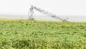 Urfa"da fırtına ve yağmur etkili oldu 