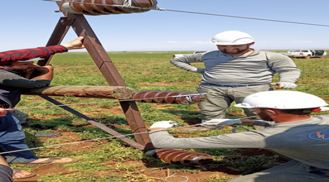 Urfa'da fırtınanın yıktığı 144 elektrik direği yenilendi