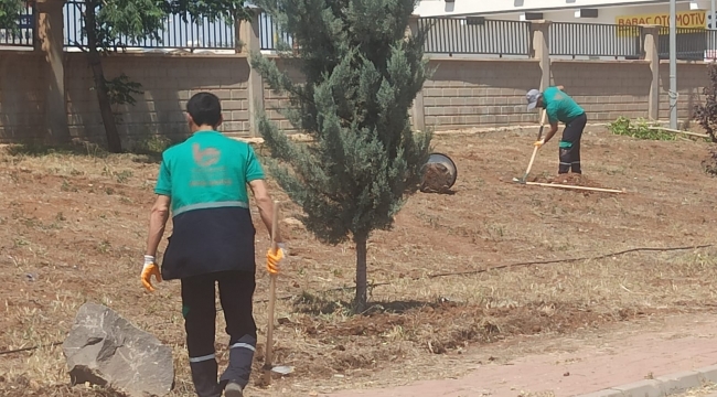 Viranşehir Belediyesinden MYO 'da peyzaj çalışması 