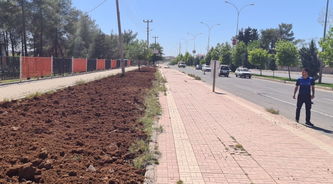 VİRANŞEHİR BELEDİYESİNDEN URFA-MARDİN KARAYOLUNDA ÇİMLEME ÇALIŞMASI