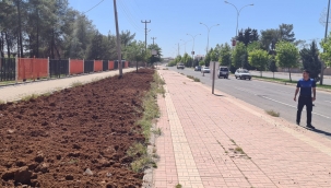 VİRANŞEHİR BELEDİYESİNDEN URFA-MARDİN KARAYOLUNDA ÇİMLEME ÇALIŞMASI