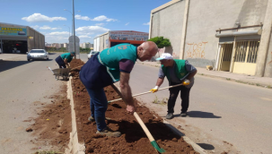 Viranşehir Belediyesinden Yeni Sanayi Sitesinde Peyzaj Düzenleme Çalışması