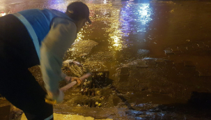 Viranşehir Belediyesinin Anında Müdahalesi ile Sağanak Sorunsuz Geçti