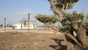 180 bin  Metrekarelik Millet Bahçesi Ağaçlandırılıyor