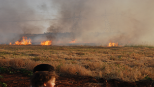 Anız Yakmanın Zararları 