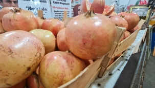 AVRUPA BİRLİĞİ KOMİSYONU SURUÇ NAR'ININ TESCİLLENME BAŞVURUSUNU KABUL ETTİ.