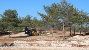 Başkan Beyazgül "Yemyeşil Bir Şanlıurfa İçin Çalışıyoruz"