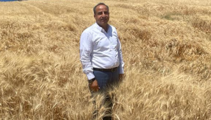 Çiftçi, destek ödemeleri ödenmeye başladı