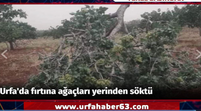 Edessa TV'de saat başı yerel haberler