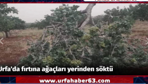 Edessa TV'de saat başı yerel haberler