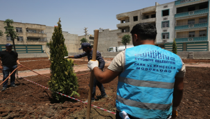 Eyyübiye'de Yeşillendirme Seferberliği Hız Kesmiyor