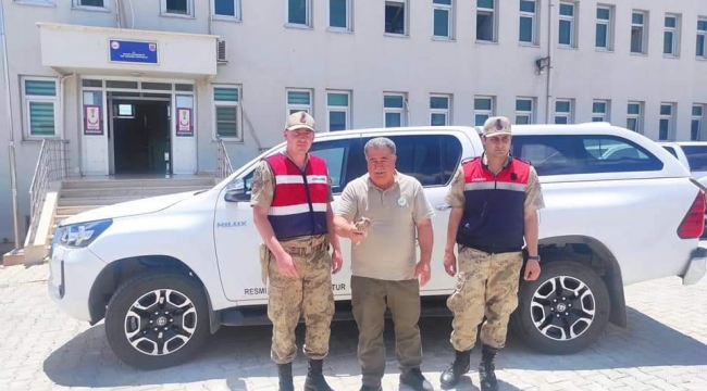 Halfeti'de yaralı halde bulundu 