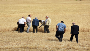 Harran Üniversitesi Kampüslerinde Tarihi Hasat Başladı