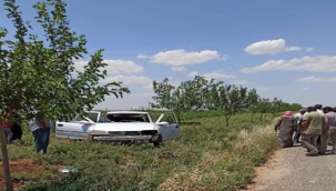 Şanlıurfa'da trafik kazası