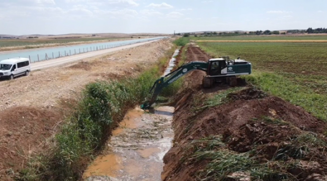 Şanlıurfa- Mardin Ana kanalında kuşak çalışması başladı