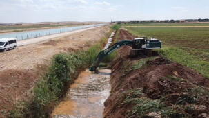 Şanlıurfa- Mardin Ana kanalında kuşak çalışması başladı
