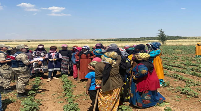 Suruç'ta jandarma ekipleri `KADES` uygulamasını tanıttı