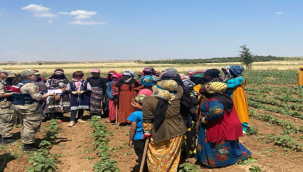 Suruç'ta jandarma ekipleri `KADES` uygulamasını tanıttı